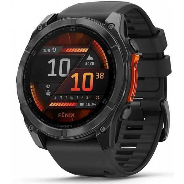 Умные часы Garmin Fenix 8 2024 серый/черный [010-02905-00]